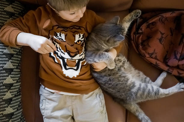 istock Young kid playing with a cat at home 1351089372