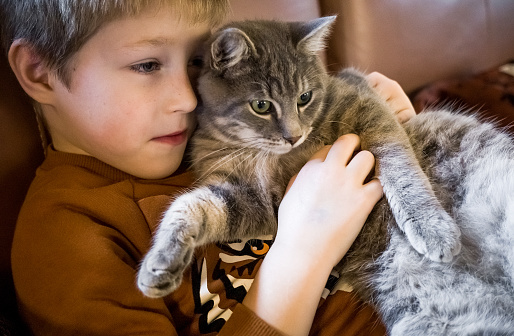 Young kid playing with a cat at home