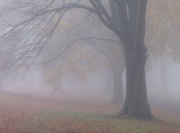 istock Autumn in a Winchester suburb 135108948
