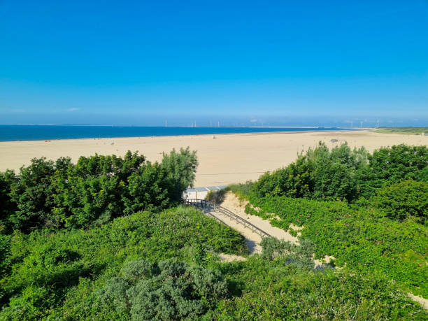 istock Aerial view of sand beach and blue sky 1351089481