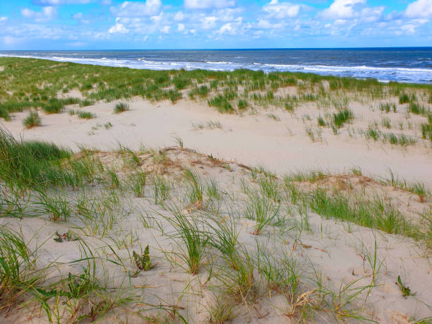 istock Waves crashing into the beach seen from sand dunes 1351089620
