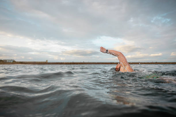 istock Front Crawl Swimming in the Sea 1351092238