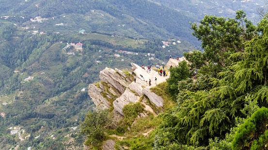 Chauli Ki Jali also known as Chauthi Jali is a visitor's attraction in Mukteshwar