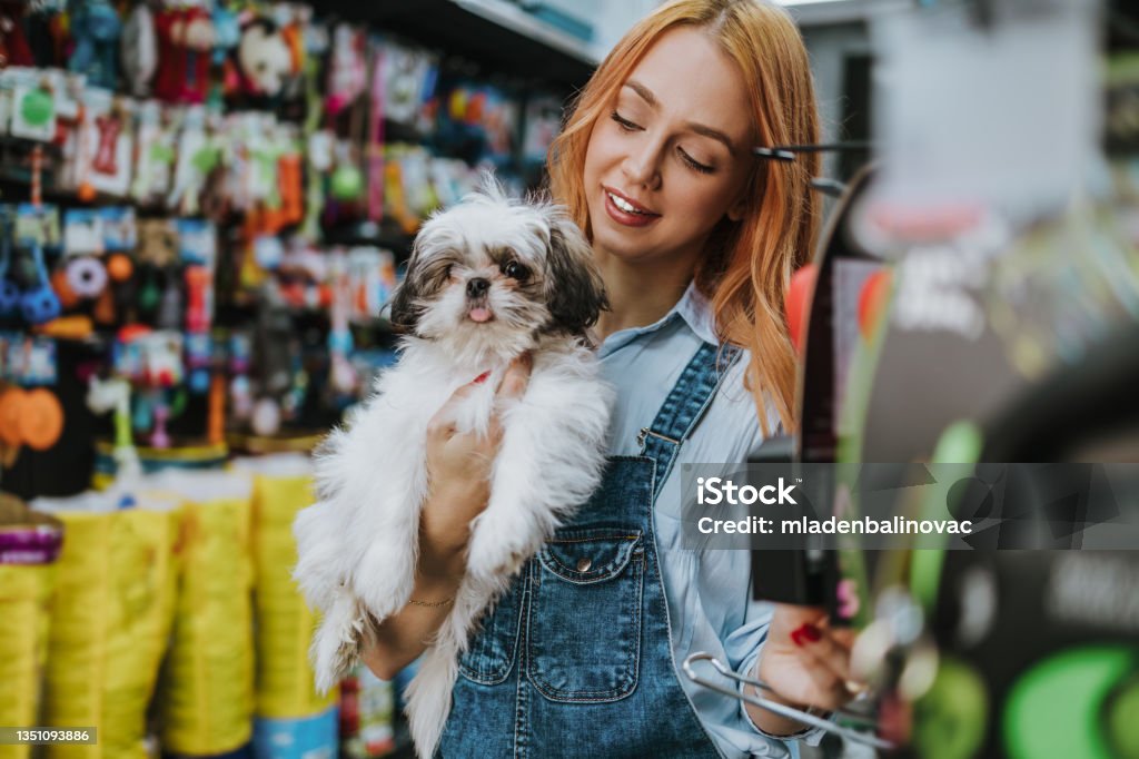 Woman in pet shop Young adult redhead woman enjoying in visit and shopping in petshop store together with her adorable Shih Tzu dog. Pet Shop Stock Photo