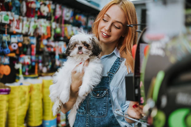 woman in pet shop - shih tzu cute animal canine imagens e fotografias de stock