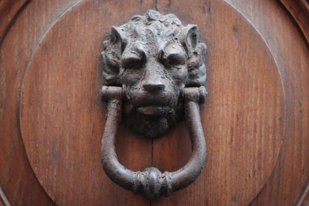 istock Vintage brass door knocker on an old door 1351096703