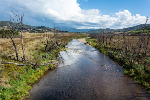 View over Howqua River in Victoria, Australia. The Howqua River, a minor inland perennial river of the Goulburn Broken catchment, part of the Murray-Darling basin, is located in the alpine region of the Australian state of Victoria.