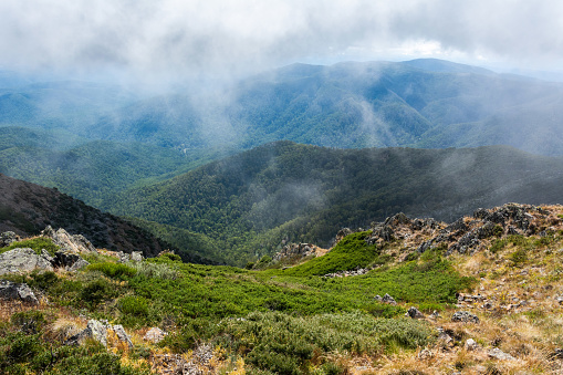 View from the summit of Mt Buller (1,805m above sea level) in Victoria, Australia, on a foggy winter day.