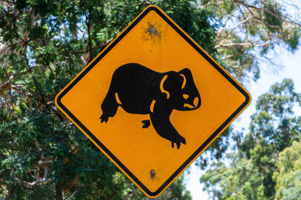 istock Koala crossing sign in Australia 1351098580