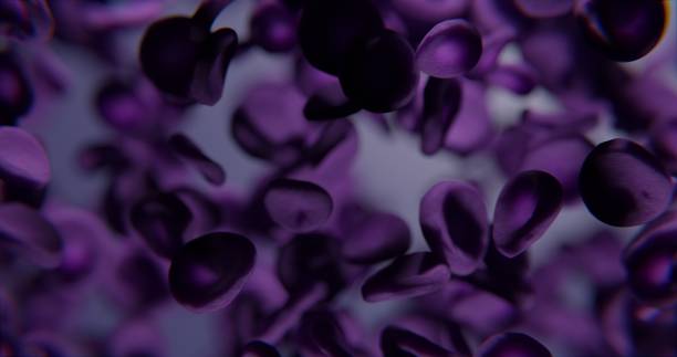 cellules sanguines violettes sous microscope arrière-plan abstrait rendu 3d - digitally generated image illness cloning chemistry photos et images de collection