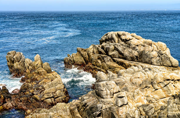 istock Pacific Ocean Asilomar State Marine Reserve 1351098866