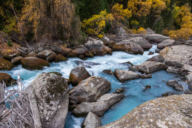 istock Beautiful mountain river with big rocks, strong current and colorful forest around. 1351100691
