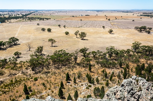 View of Arapiles plains from the summit of Mitre Rock in Victoria, Australia.