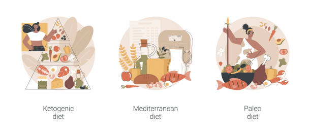 ilustraciones, imágenes clip art, dibujos animados e iconos de stock de plan de nutrición para la pérdida de peso concepto abstracto ilustraciones vectoriales. - dieta paleolítica