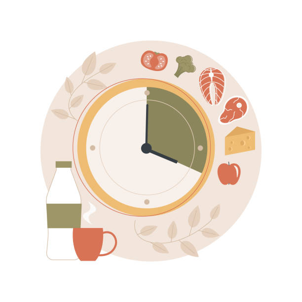 ilustrações, clipart, desenhos animados e ícones de ilustração vetorial de conceito abstrato de jejum intermitente. - lunch clock healthy eating plate