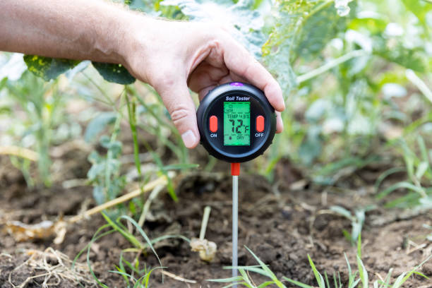 Measuring temperature and moisture content of the soil. Greenhouse effect and global warming concept. Measuring temperature, moisture content of the soil, environmental humidity and illumination in a vegetable garden soil tester stock pictures, royalty-free photos & images