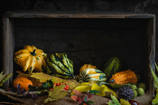 Thanksgiving day or autumnal background with pumpkins and fallen leaves