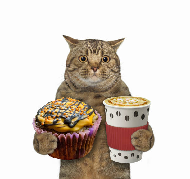 istock Cat holds orange cupcake and coffee 2 1351102564