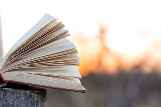 istock Education and wisdom concept - open book under sunlight 1351103631