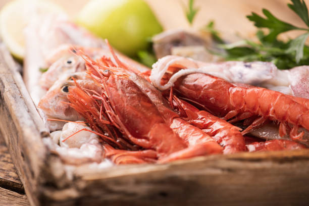 istock Shrimps in ice in a fish market 1351105081