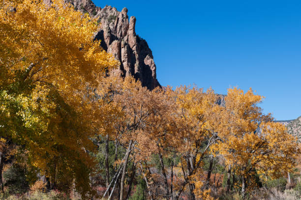 istock Rock Spire and Autumn Color 1351105151
