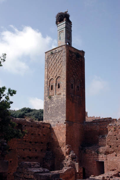 モロッコのラバトのカスバ・チェラ - chellah ストックフォトと画像