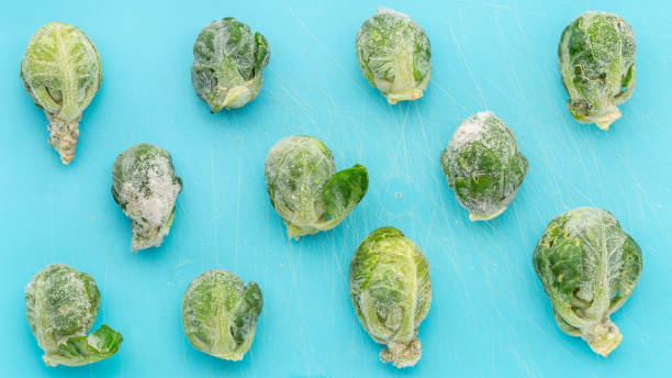 Frozen brussels sprout are thawed on blue background. Harvesting vegetables for the winter. Frozen vegetables close-up. stock photo