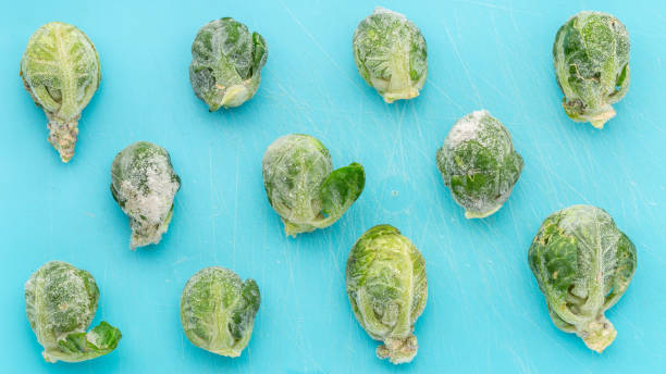 frozen brussels sprout are thawed on blue background. harvesting vegetables for the winter. frozen vegetables close-up. - defreeze imagens e fotografias de stock