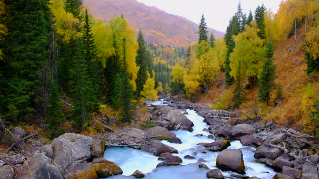 Beautiful mountain river with big rocks, strong current and colorful forest around.