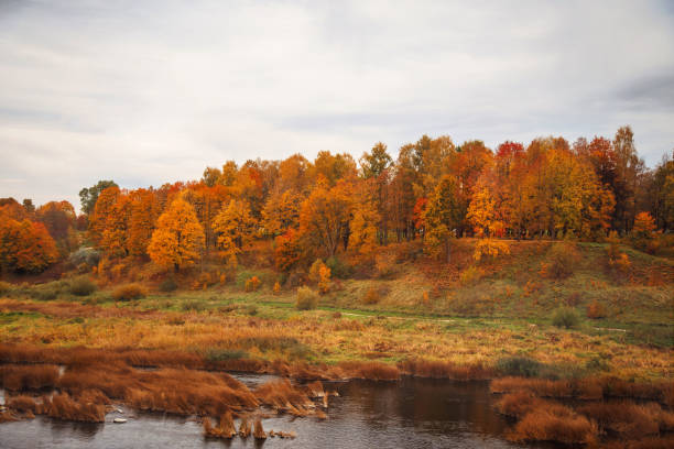Autumn landscape on the shore of a reservoir with yellow foliage on the trees