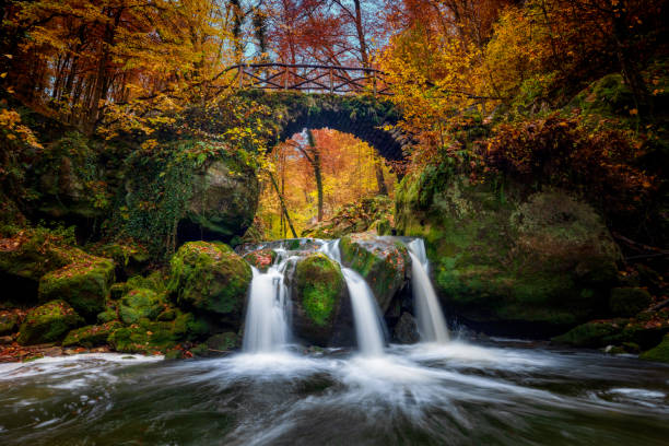 istock Autumn in Luxembourg - Mullerthal 1351110255