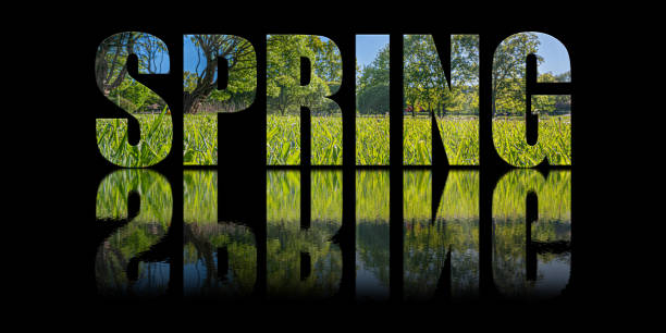 Spring landscape, rural scene