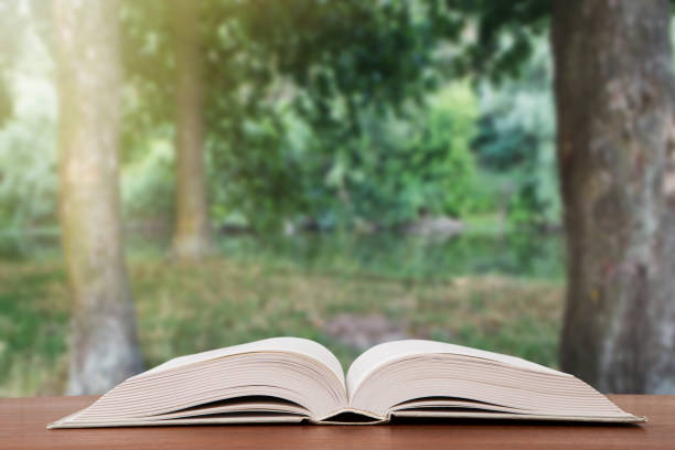 istock Open book over the landscape background 1351112153