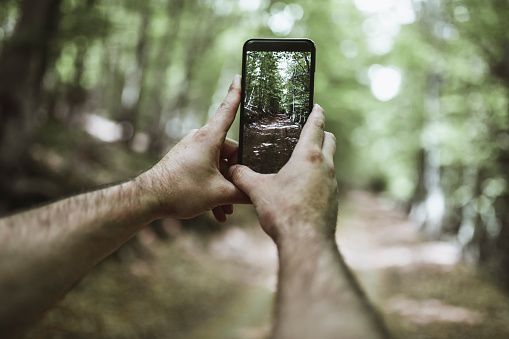 Male Hiker Taking Smartphone Photo Of Beautiful Forest Road