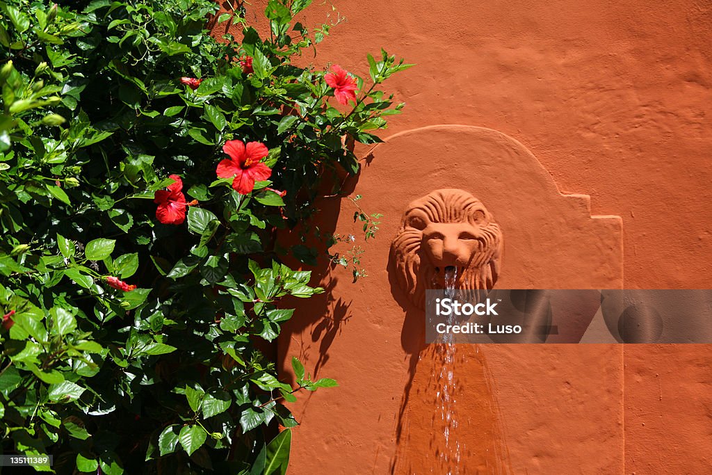 Löwe-Brunnen - Lizenzfrei Region Provence-Alpes-Côte d'Azur Stock-Foto