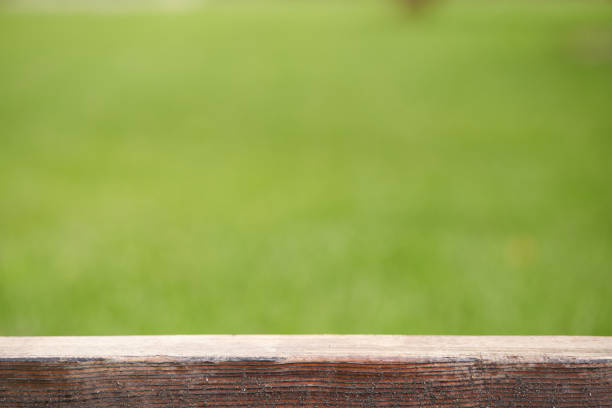 istock Wooden pedestal on a green background. A flat rectangular stand or podium for a natural design concept 1351114606