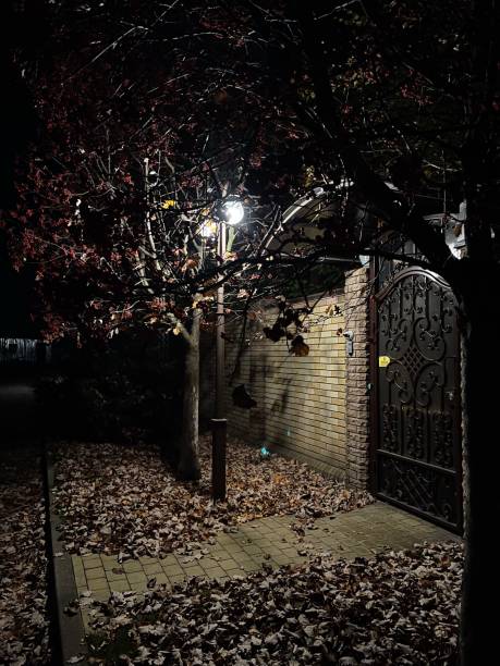 istock night in the park and gate 1351114711