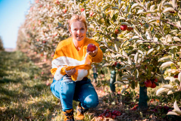 istock Woman botanist in apple orchard 1351114749
