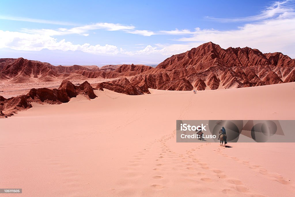 Riding Horse, Vale de la Luna - Atacama Desert, Chile More ATACAMA images here: Atacama Desert Stock Photo