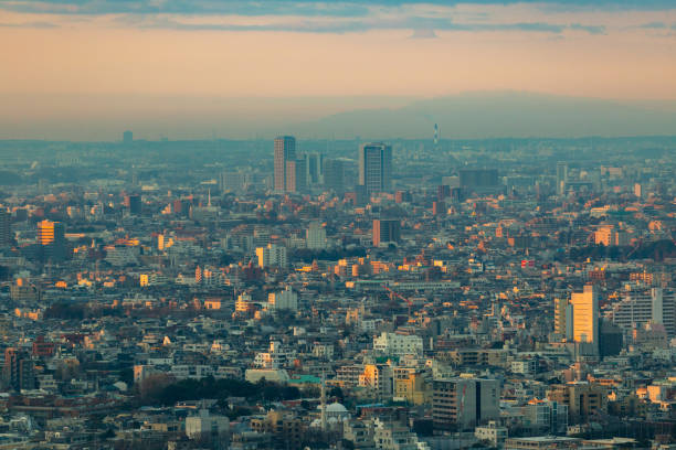 istock Tokyo, Japan skyline in Winter 1351115927