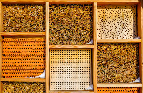 istock insect hotel at a farm 1351119567