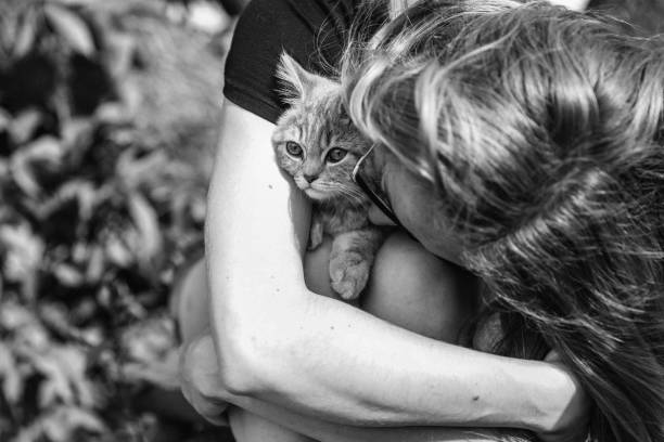 istock A person hugs a Scottish kitten 1351141078
