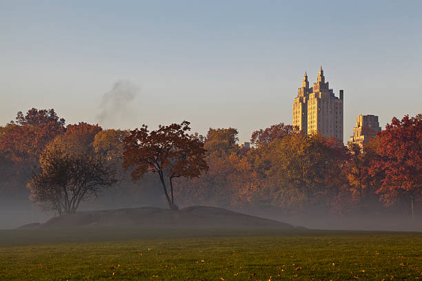 istock Central Park early morning fog 135114194