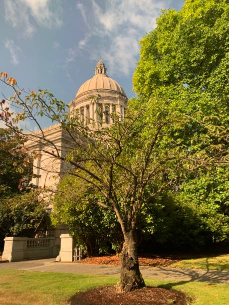 istock Olympia, Washington Capitol Building 1351146245