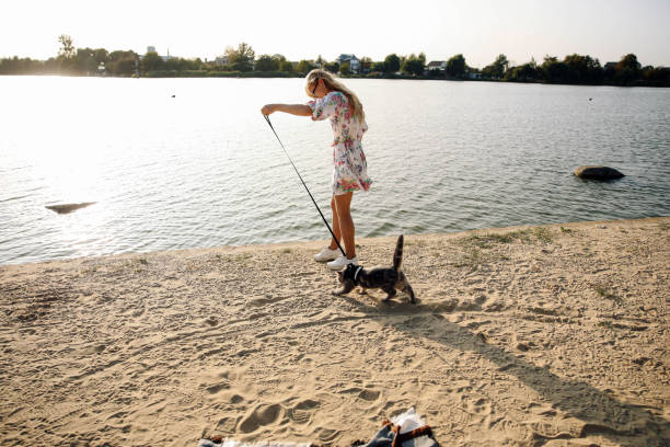 istock Blonde Woman On The Beach With Kitten 1351153075