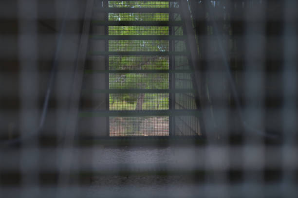 detail of a staircase behind a grille with trees in the background