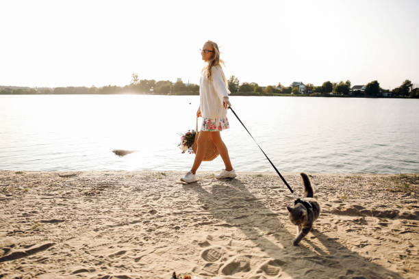 istock Woman Walking On The Beach With Pet Cat 1351153201
