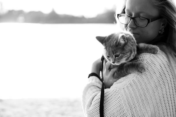 istock Woman hugging a scottish kitten on a walk 1351153338