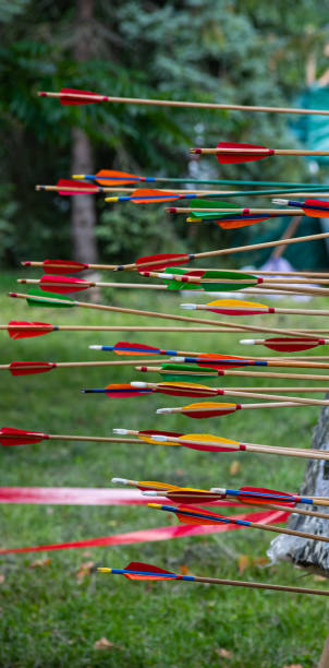 erfolgreiches konzept, alle goldenen pfeile aufs ziel, bogenschießen - target sport target target shooting bulls eye stock-fotos und bilder