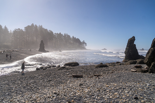 Ruby Beach, WA - USA - Sept. 21, 2021: Horizontal view of visitors admiring the sea stacks at Ruby Beach in Olympic National Park